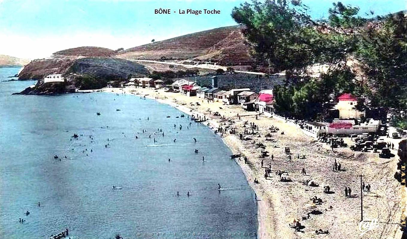 Bone - Plage Toche - 1955.jpg